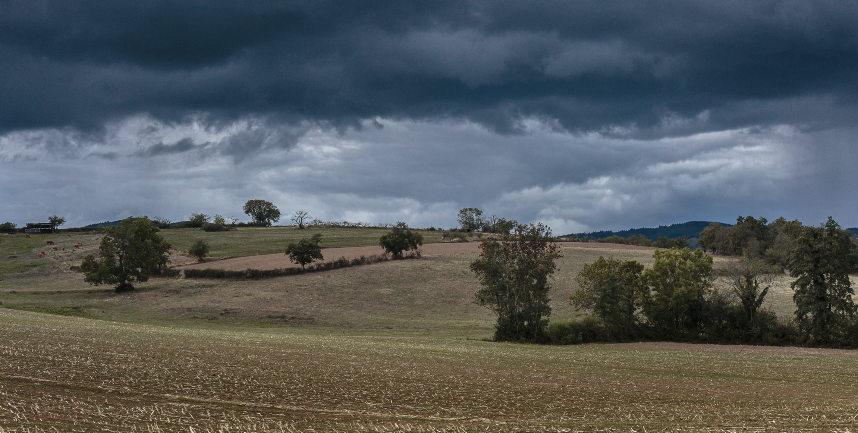 panorama des monts du Lyonnais